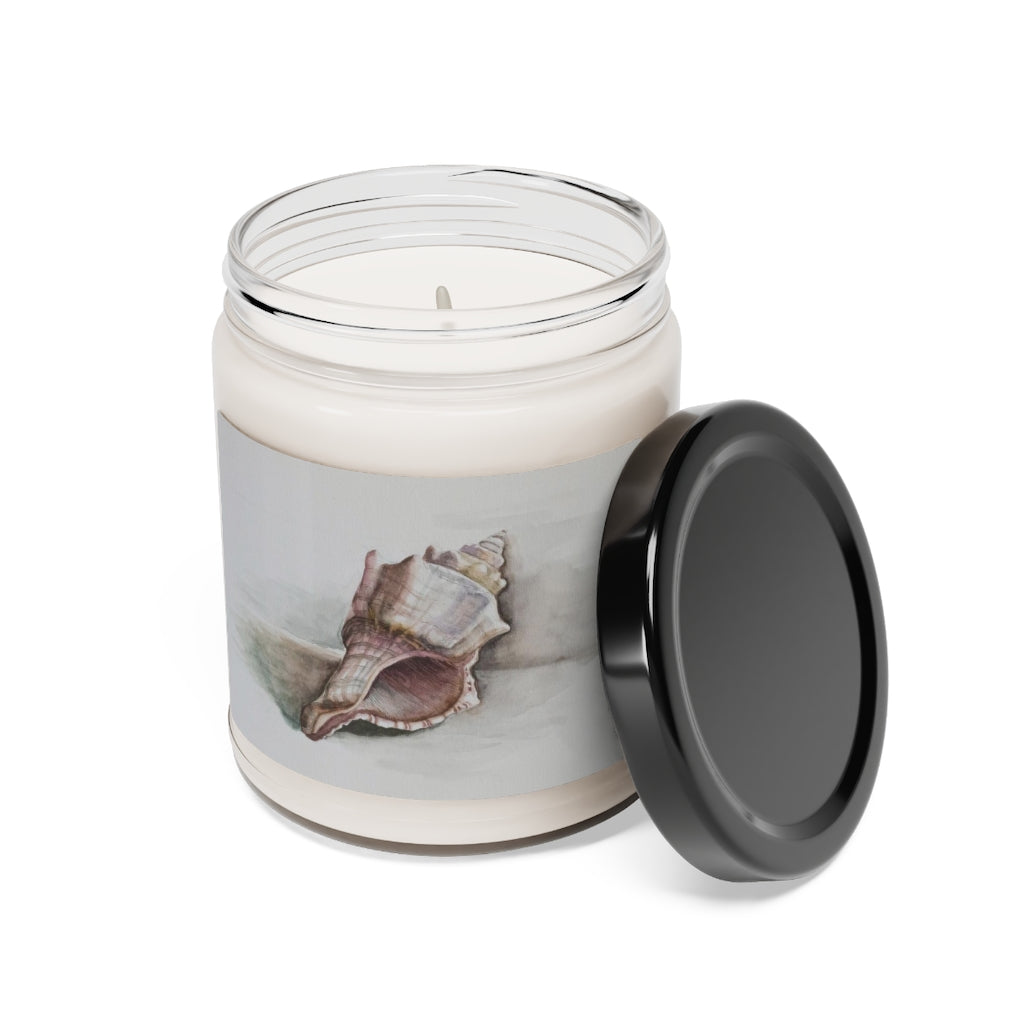 HW Watercolor Shell Scented Soy Candle, 9oz