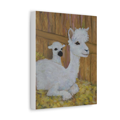 Alpaca Joy Satin Canvas, Stretched