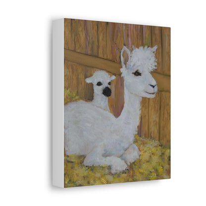 Alpaca Joy Satin Canvas, Stretched