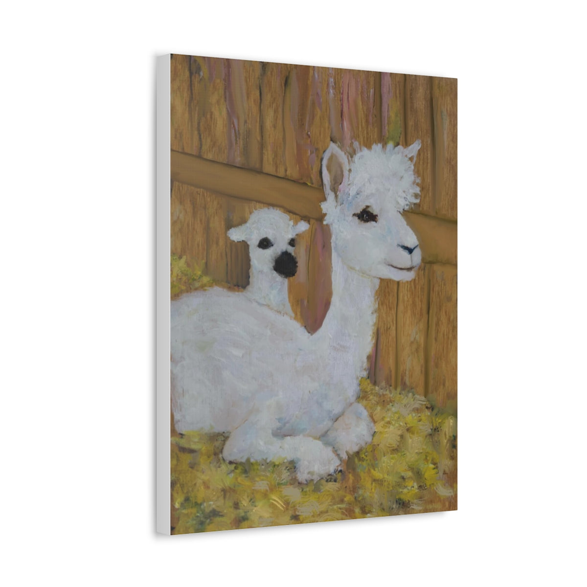 Alpaca Joy Stretched Canvas