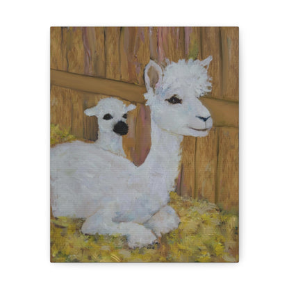 Alpaca Joy Satin Canvas, Stretched