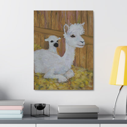 Alpaca Joy Satin Canvas, Stretched