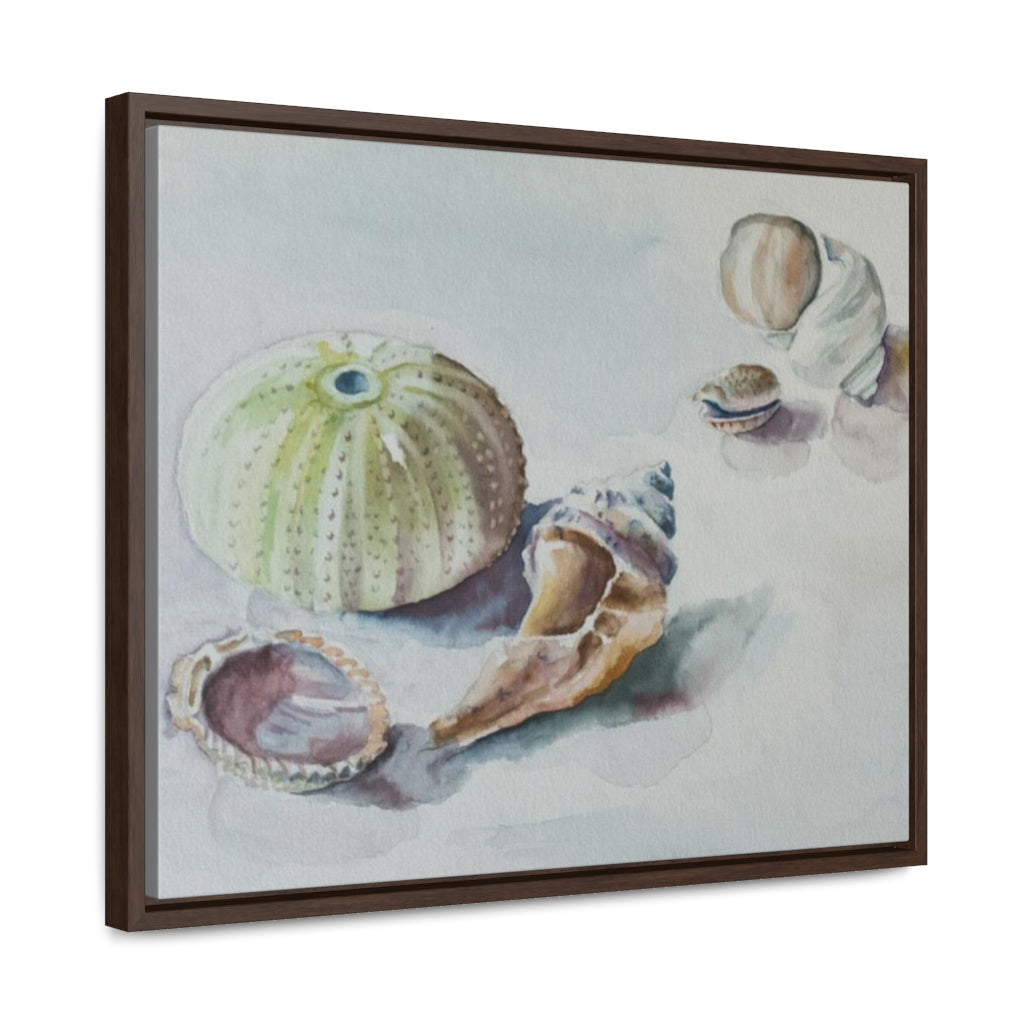 HW Beach Finds Gallery Canvas Wraps, Horizontal Frame