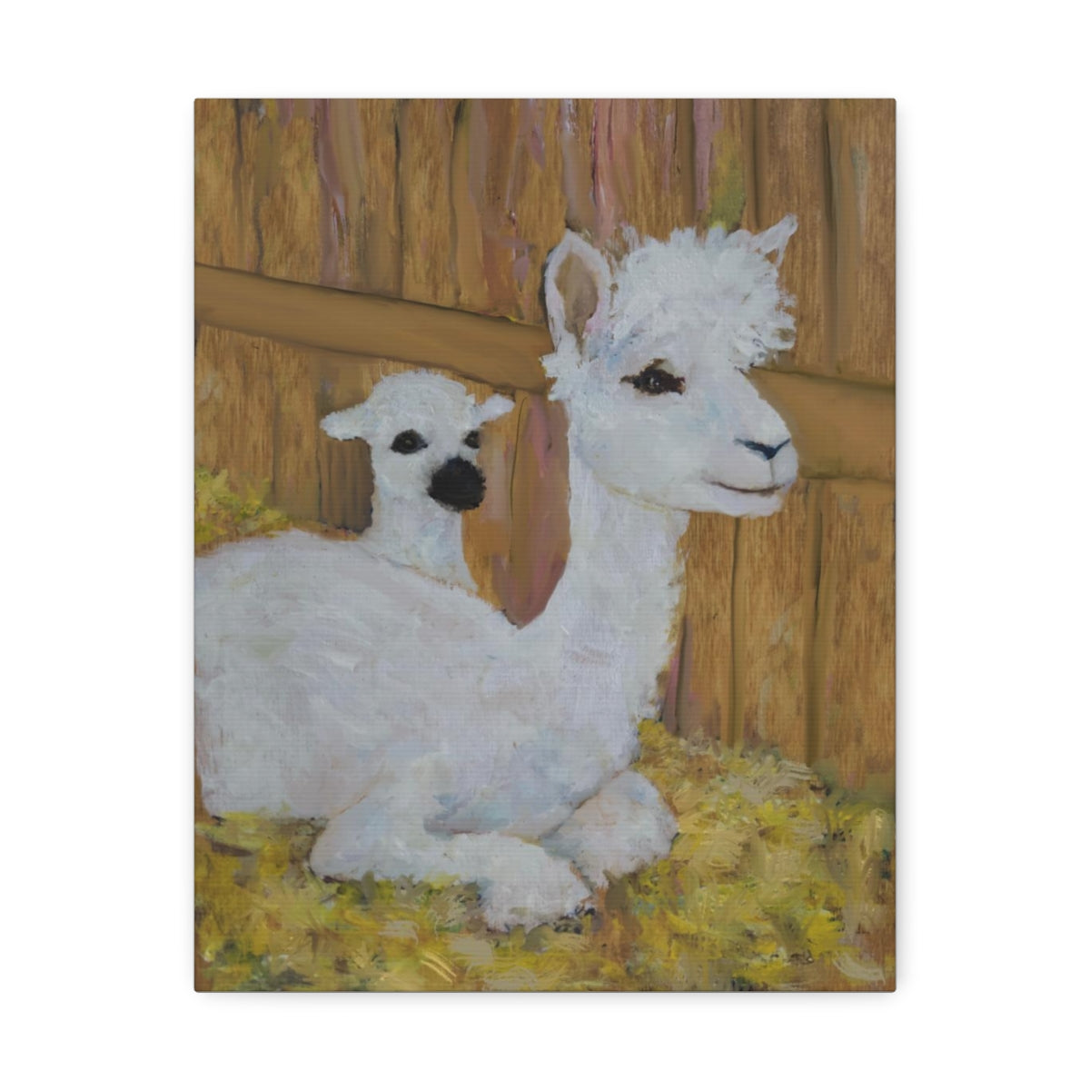 Alpaca Joy Stretched Canvas