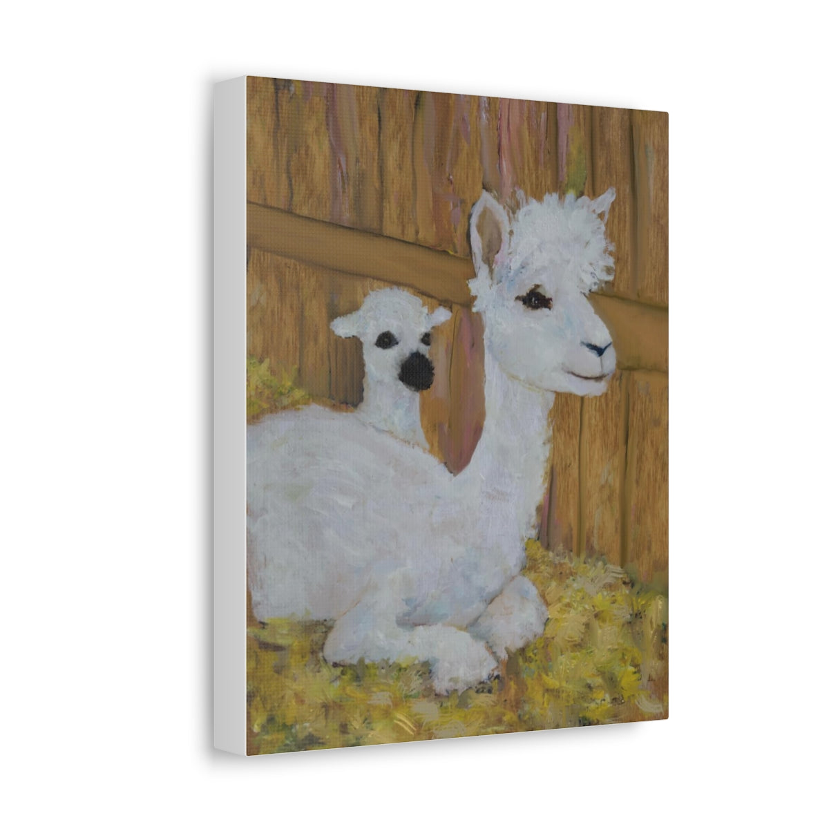 Alpaca Joy Stretched Canvas