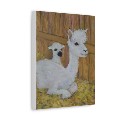 Alpaca Joy Satin Canvas, Stretched