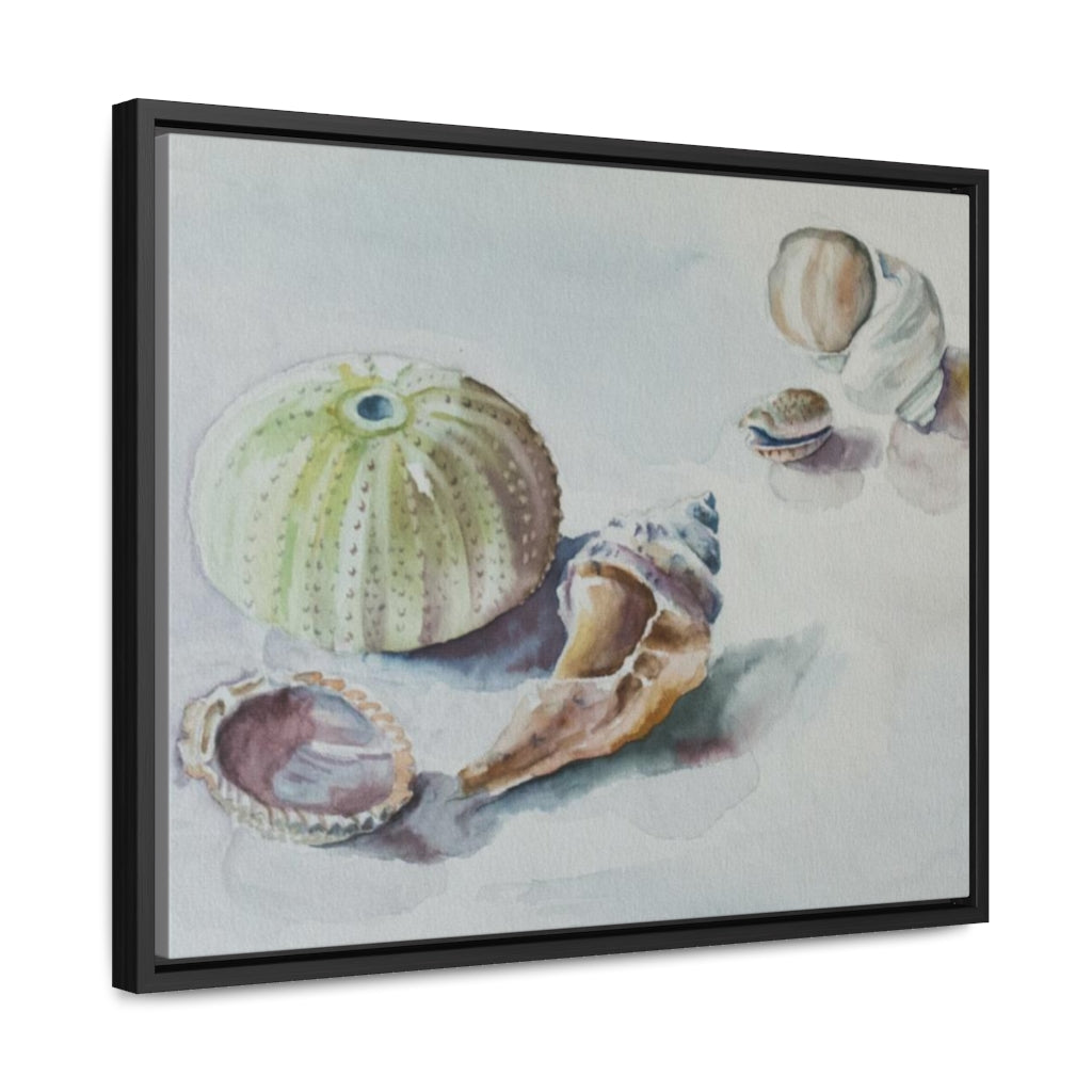 HW Beach Finds Gallery Canvas Wraps, Horizontal Frame