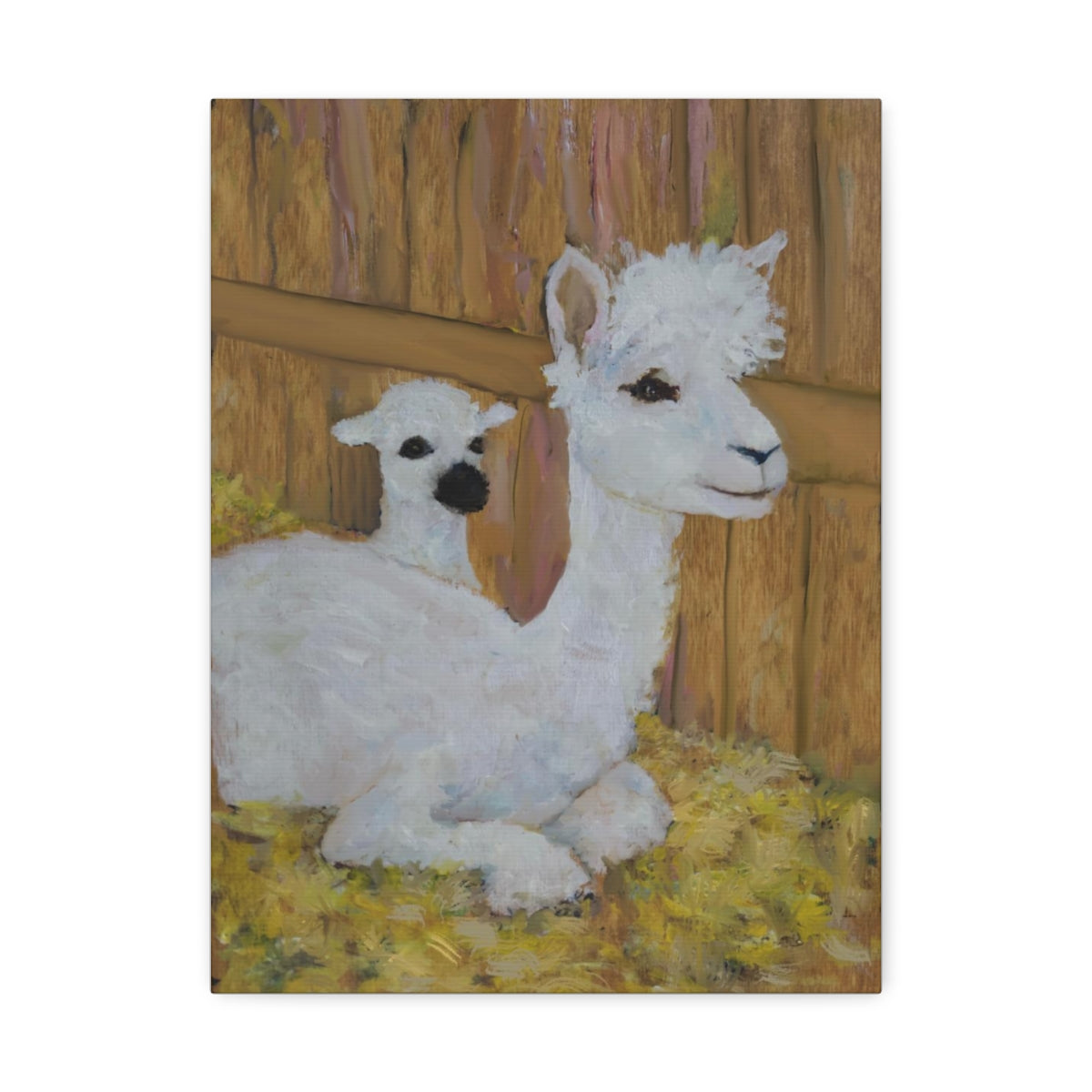 Alpaca Joy Stretched Canvas