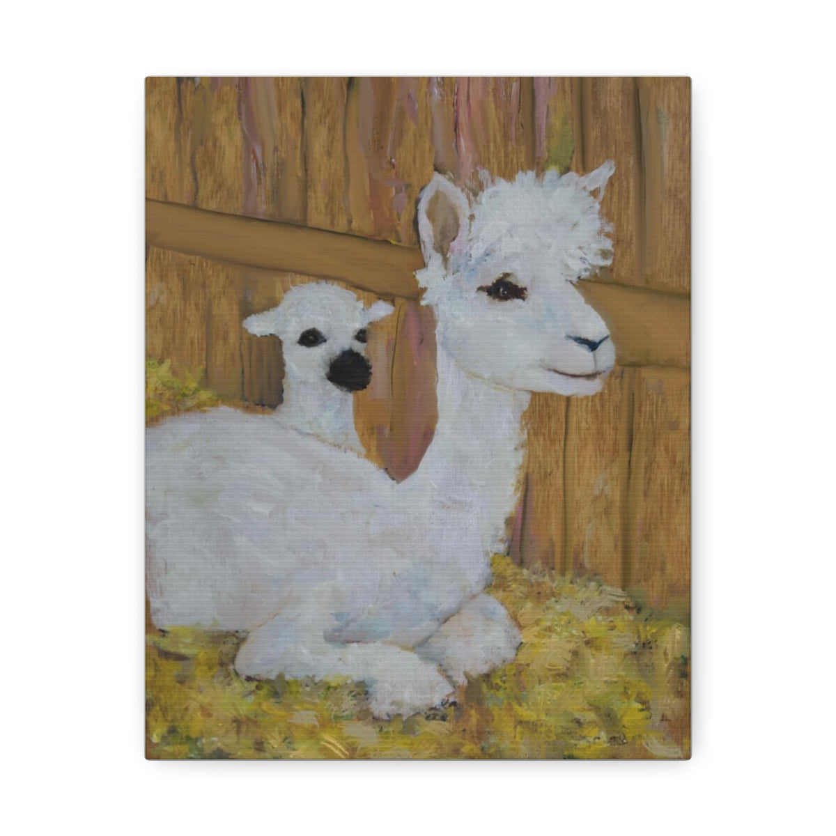 Alpaca Joy Stretched Canvas