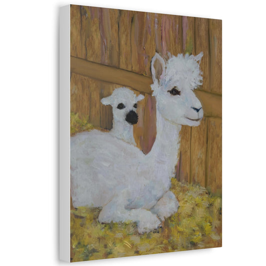 Alpaca Joy Stretched Canvas