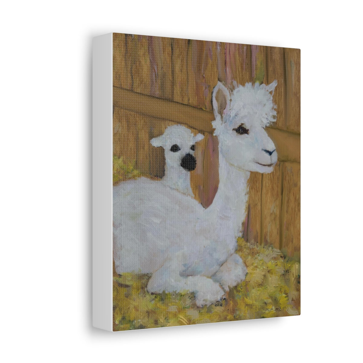 Alpaca Joy Stretched Canvas